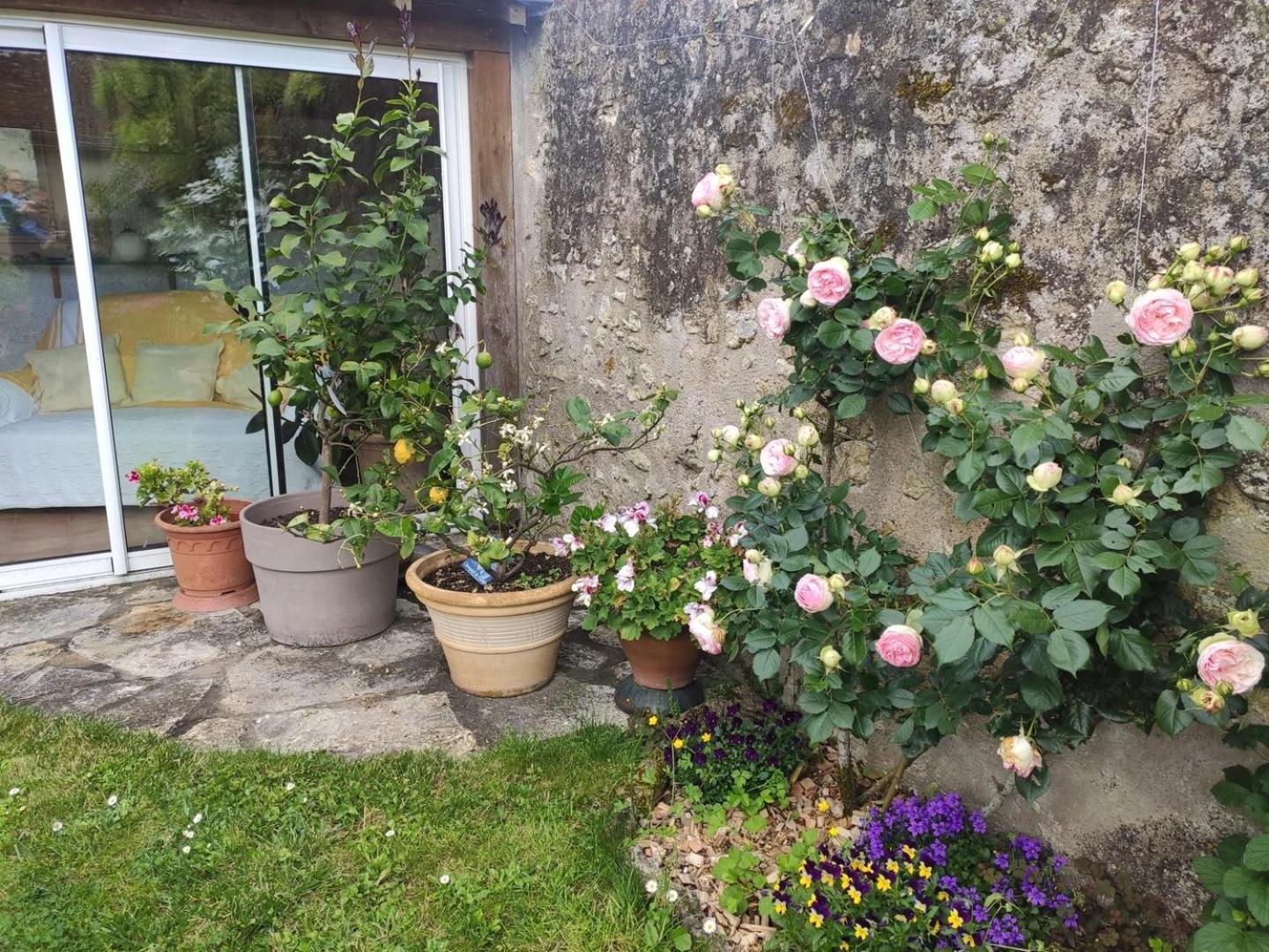 Le Relais De L'Ormeau - Charmant Gite Pour 4 Pers. Lussault-sur-Loire Kültér fotó